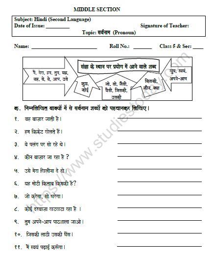 CBSE Class 5 Hindi Pronoun Worksheet Set B